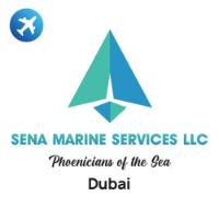 Top Web Development Companies in Sharjah