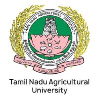 Website Development in Sharjah