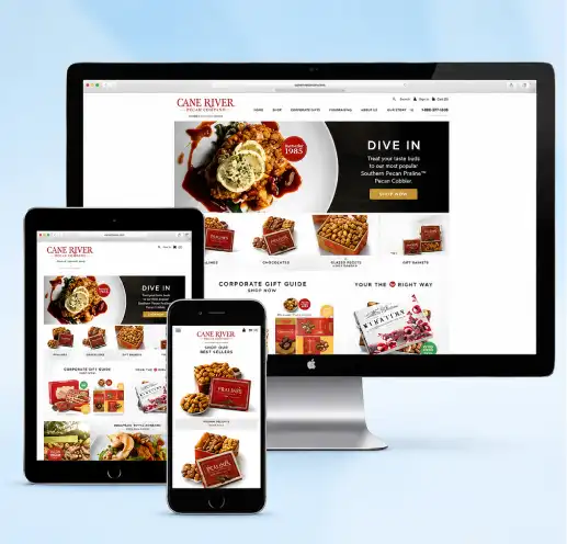 SMM Website Designing Company in Dubai