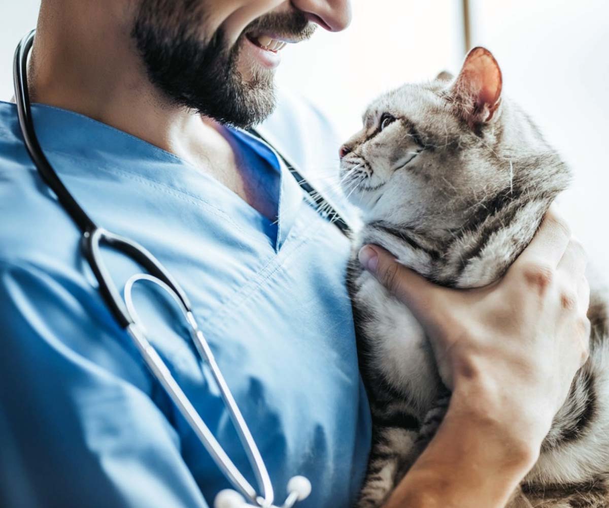 Pet Clinic Dubai Pet Clinic Dubai