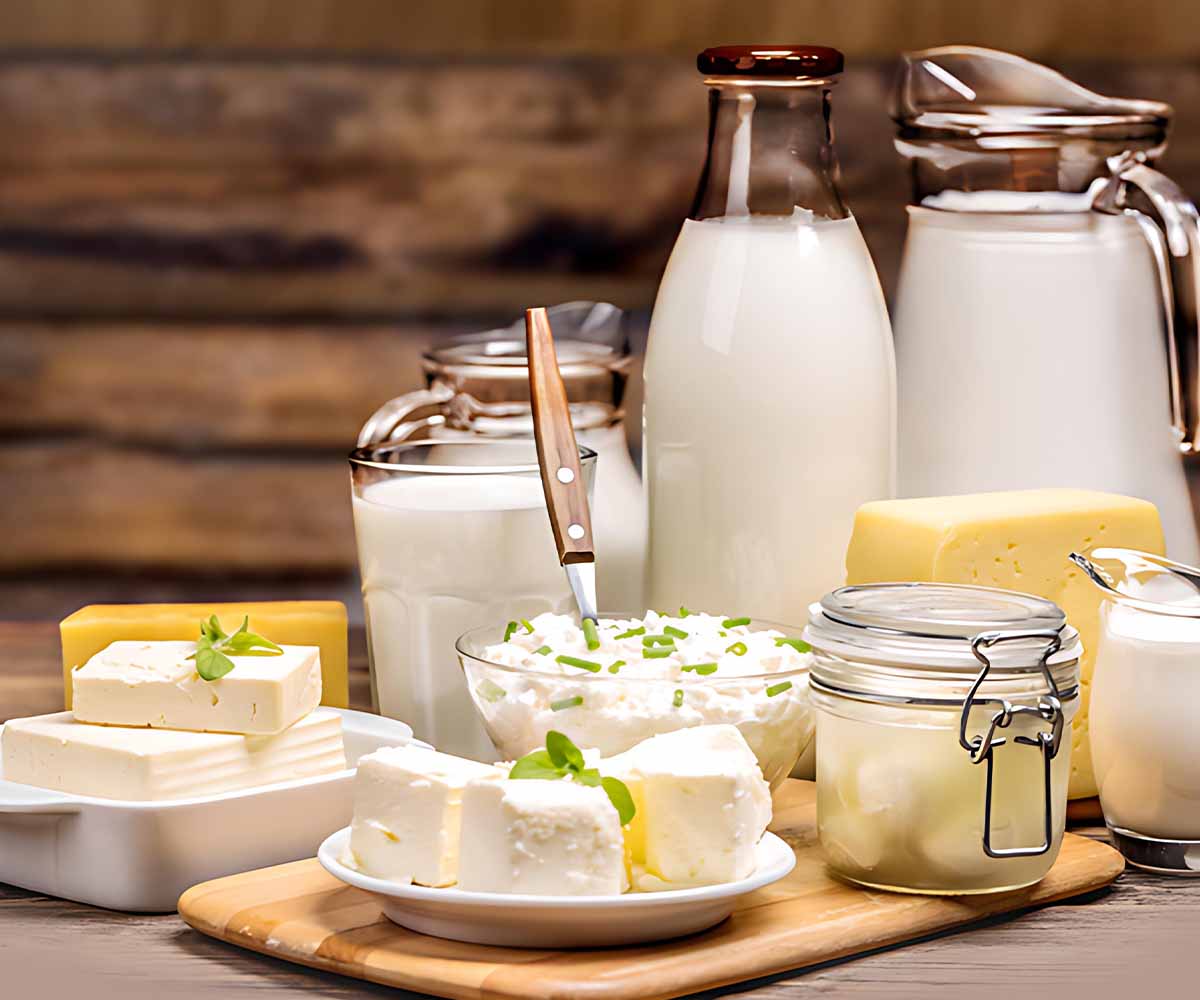 Dairy Products Dubai Dairy Products Dubai