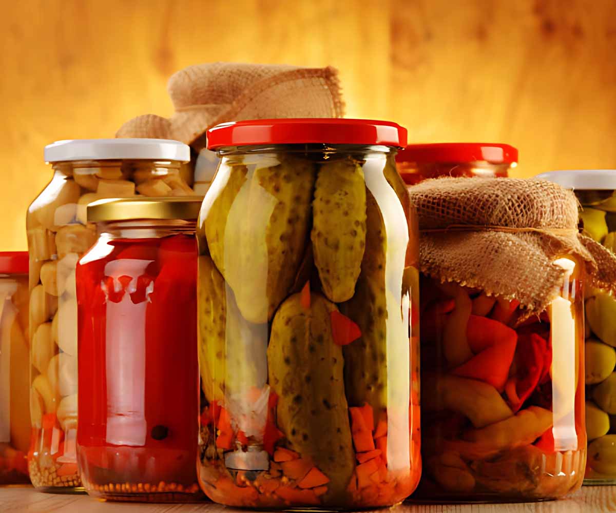 Food Processing Website Dubai Food Processing Website Dubai