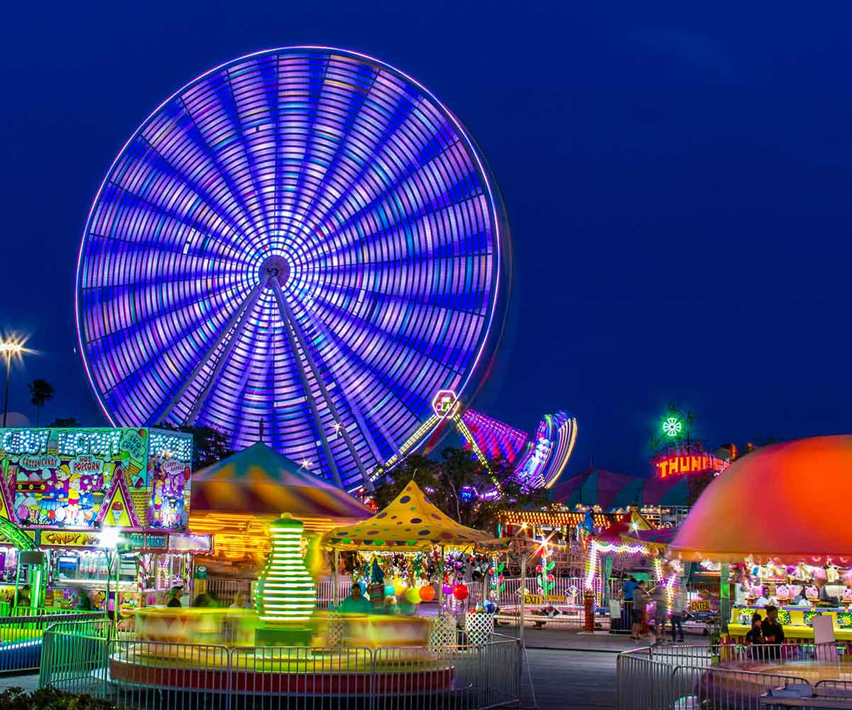 Theme Park Website Dubai Theme Park Website Dubai